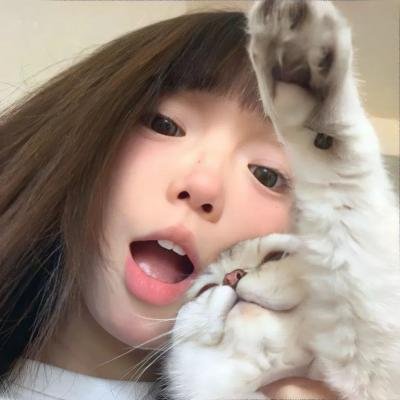 玉屏风